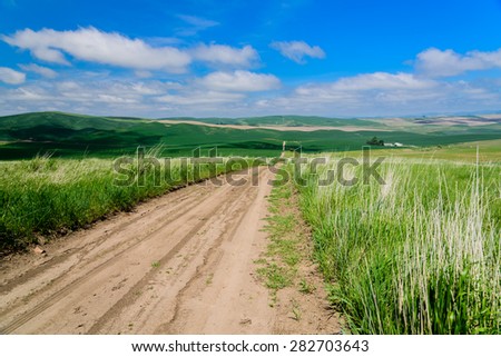 Scenic rural road through rolling hills and wheat fields, leads to the horizon in the Palouse area, eastern Washington, USA. New journey, new job, success, mediation concept. copy space. 