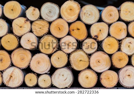 pile of cut tree logs wood texture background