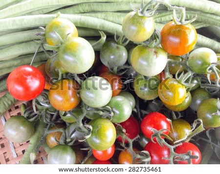 Little tomatoes with lentils food backgrounds