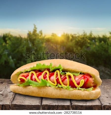 Hot Dog, Fast Food, Barbecue.