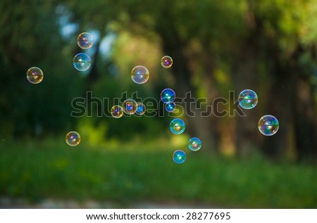 a lot of soap bubbles on the blur nature background