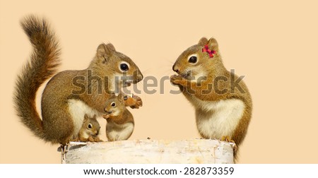 A family of cute squirrels perched on a birch log, enjoying seeds in the Spring.  The two babies sitting near their father.