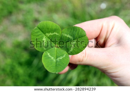 Female hand with four leaves clover, closeup