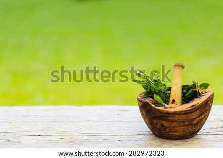 Herbs - Fresh herbs in a mortar Royalty-Free Stock Photo #282972323
