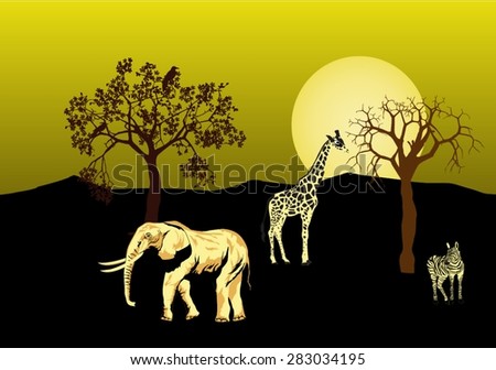 African savannah at night illustration. Elephants, giraffe, zebra, trees silhouettes , moon disk.All objects grouped and separated