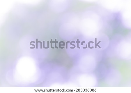 Bright violet bokeh blur background  in nature