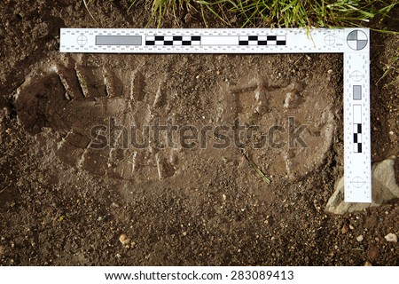Crime scene investigation - collecting of trasology evidence Royalty-Free Stock Photo #283089413