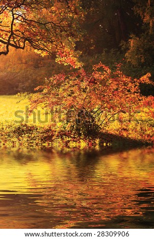 Yellow autumn background