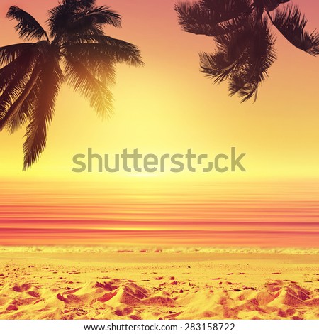 Coconut palm tree and sunset ocean beach. Tropical paradise.