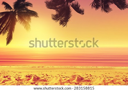 Coconut palm tree and sunset ocean beach. Tropical paradise. 