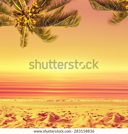 Coconut palm tree and sunset ocean beach. Tropical paradise.