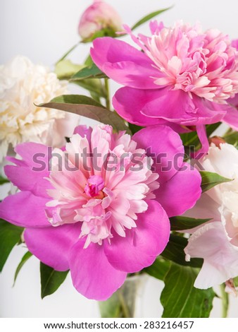 bouquet of peony close up