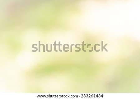 bright bokeh background from nature view