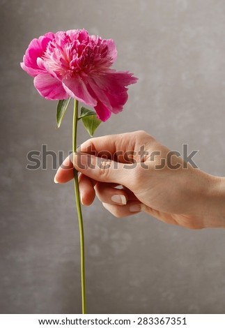 Woman holding pink peony flower