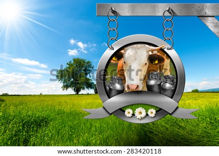 Dairy products sign with head of cow, cans for the transport of milk, green grass and three daisy flowers. Hanging from a metal chain on a pole in a countryside landscape