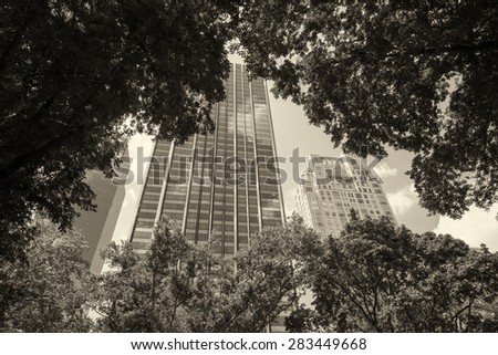 Manhattan buildings framed by Central Park trees.