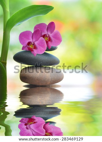 Grean orchid  leaves over zen stones pyramid reflecting in water surface