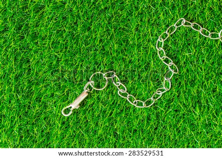 chain interpreter dogs on green grass texture background eco concept