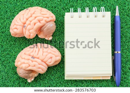 calculator and brain on green grass background in business concept