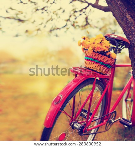 Vintage Bicycle with flowers on  landscape background (toned picture)