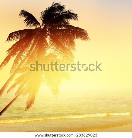 Tropical beach background. Coconut palm tree at sunrise time. Beautiful ocean.