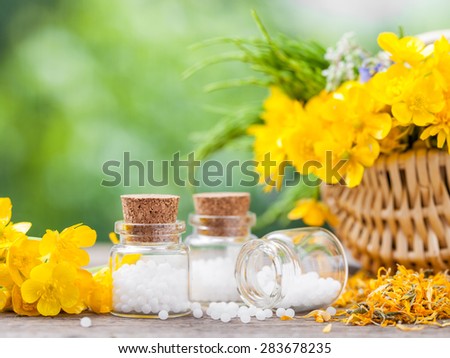 Bottles of homeopathy globules and healthy herbs in basket.