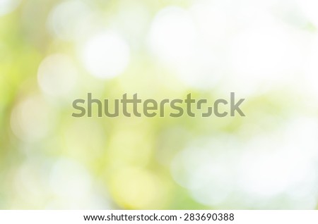 Green bokeh blur background from nature environment