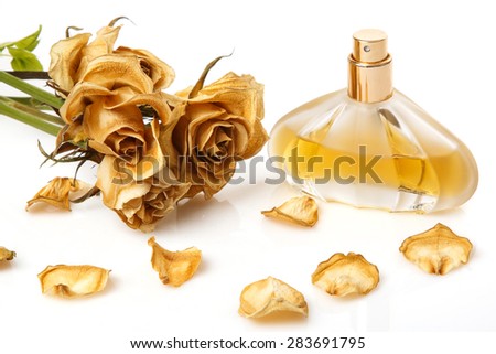 Vial of perfume and dry rose flower on white background