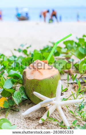 Coconut  starfish in sea asia Thailand