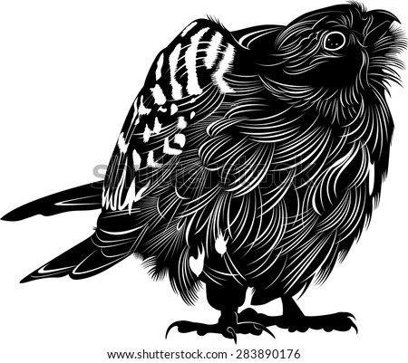 Silhouette falcon on a white background