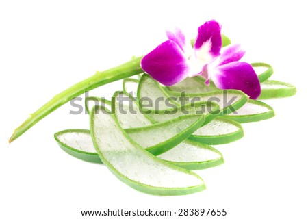 Aloe vera, and flowers  side by side. isolated on white background