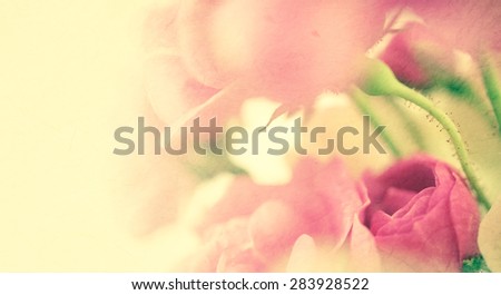 sweet color roses in soft and blur style on mulberry paper texture