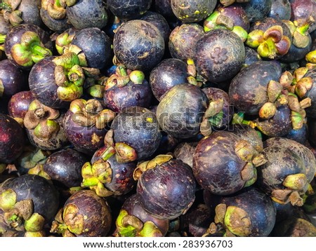 Mangosteen, the fruit of Thailand