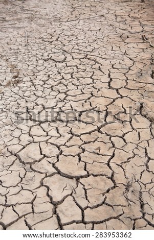 abstract background of cracked clay ground