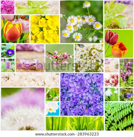 collage of flowers and animals of spring time on white ceramic mosaic tile, many different flora and colors connected in one picture