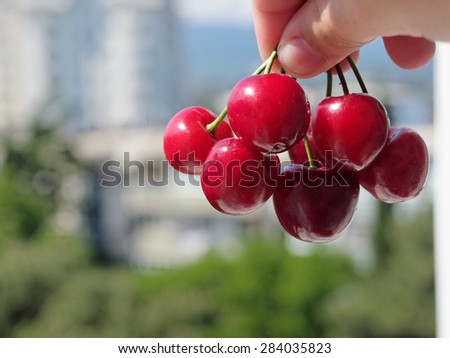 cherry in hand / partly out of focus, focus on the berry and hand        