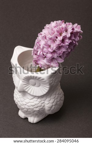 A owl ceramic vase with purple(pink) flowers(lavender) close up in the grey paper background at the studio.