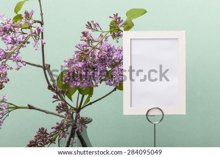 A purple(pink) flowers with paper photo frame on the grey paper bottom, emerald green background at the studio.