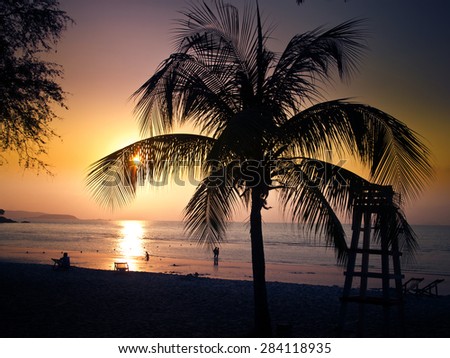 Silhouette of coconut trees at sunset