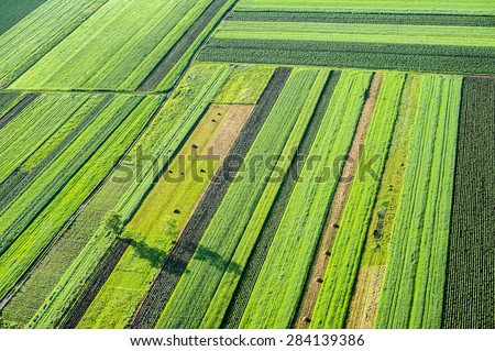 Birds Eye View of the Fields and Agricultural Parcel. Aerial Views. Royalty-Free Stock Photo #284139386