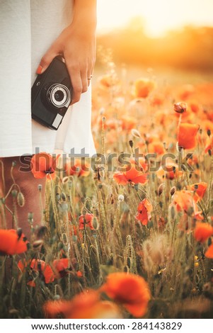 Vintage camera in woman hand on poppy field