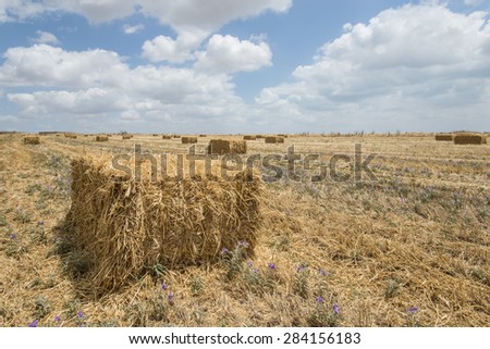 Wheat haystack