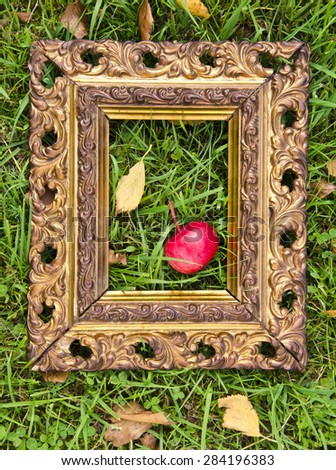 red fresh apple in antique beautiful picture frame on autumn grass. Autumn time concept