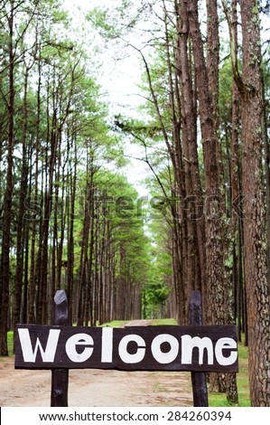 Welcome sign in pine trees forest.
