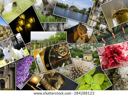 Mosaic collage with pictures of different places, landscapes, flowers, insects, objects and animals shot by myself