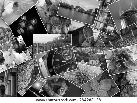 Mosaic collage with pictures of different places, landscapes, flowers, insects, objects and animals shot by myself (black and white)