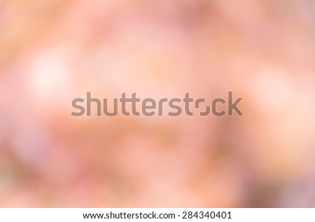 sweet bokeh light background from nature
