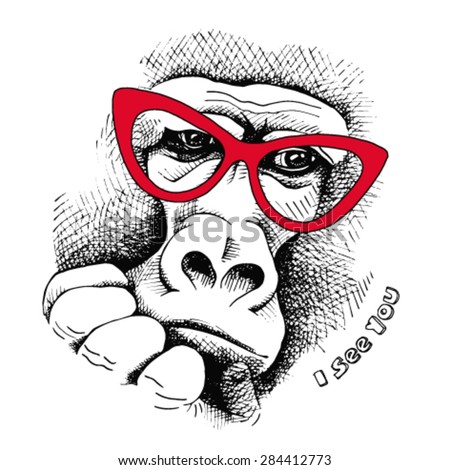 Portrait of pensive monkey gorilla wearing red glasses. Vector illustration.