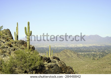 Color DSLR image of desert mountains near Phoenix, Arizona with Saguaro cactus against a clear blue sky. Classic southwest picture. Horizontal orientation with copy space for text.