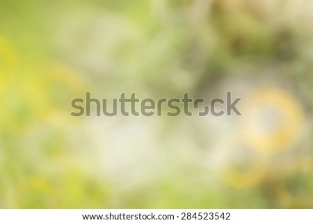 natural green abstract  bokeh donut background 